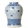 A Chinese Qing Dynasty Blue and White Jar