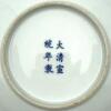 A Chinese Famille Rose 'Flower and Bird' Saucer (Da Qing Xuantong Nian Zhi Mark) - 2