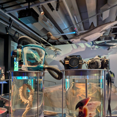 2 vintage field cameras & colossal squid pressure mask