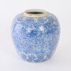 A Chinese Early Qing Dynasty Blue and White 'Floral' Jar