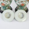 A Pair of Chinese Late Qing Dynasty Famille-verte 'Floral' Jars and Covers - 5