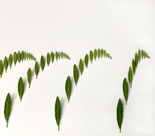 Elizabeth Thomson: Green Sees Things in Waves (2025)
