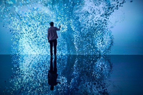 A private VIP experience at Te Papa's summer exhibition