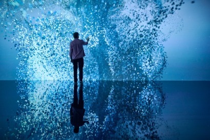 A private VIP experience at Te Papa's summer exhibition