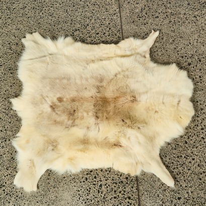 A Reindeer Hide