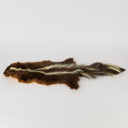 A Skunk Pelt
