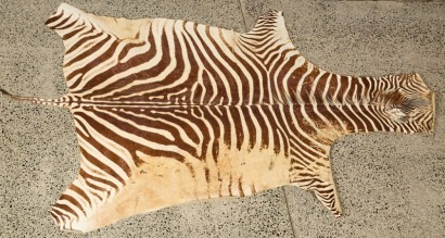 A Zebra Hide Rug