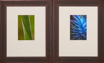 A Pair of John Demello Photos