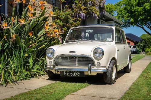 1965 Austin Mini Cooper