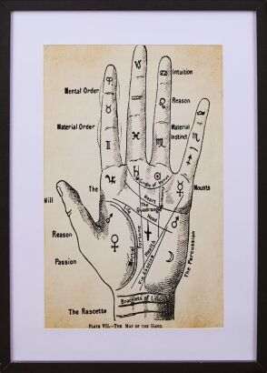 A Picture of &lsquo;The Map of The Hand&rsquo;