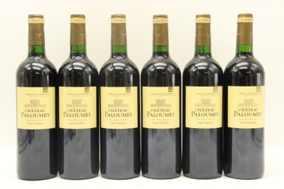 (6) 2009 Chateau Paloumey, Haut-Medoc [JR16.5]