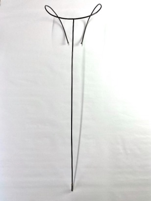 KELLY MCDONALD Proboscis