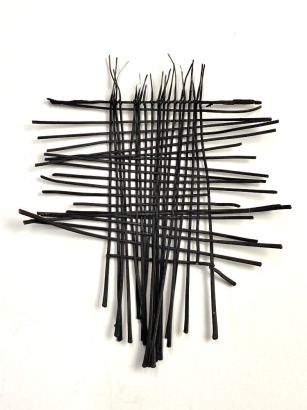 KELLY MCDONALD Enmeshed