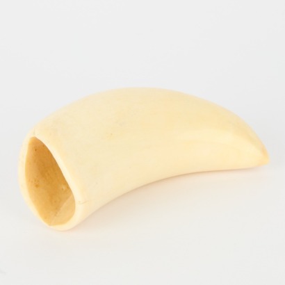 A Whale Tooth