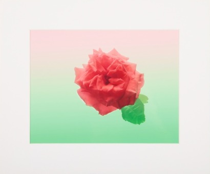 GRETA ANDERSON Rose