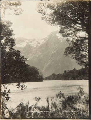 BURTON BROTHERS On the Arthur RIver - Milford Sound