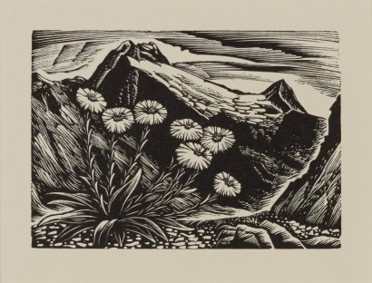 E. MERVYN TAYLOR Jervois Glacier