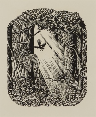 E. MERVYN TAYLOR Beech Forest