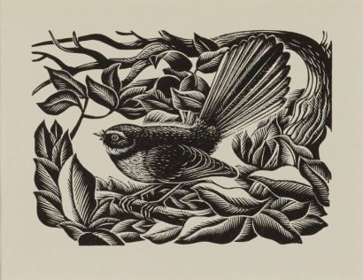 E. MERVYN TAYLOR Fantail