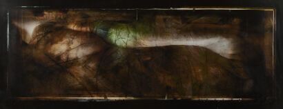 VINCENT WARD Physical Terrain