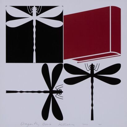 RICHARD KILLEEN Dragonfly Book