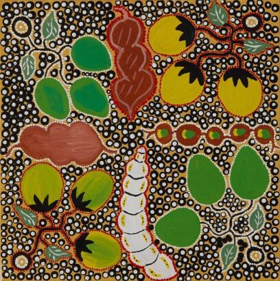 NIKKEI MORRISON This story about bush tuckers around Tennant creek