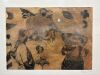 KATE COOLAHAN Anima