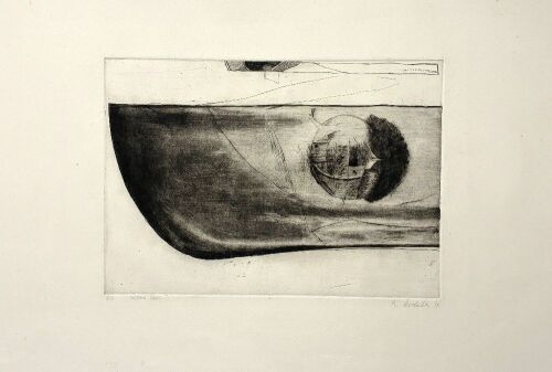 KATE COOLAHAN Noah's Ark