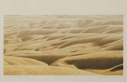 GRAHAME SYDNEY Hinterland