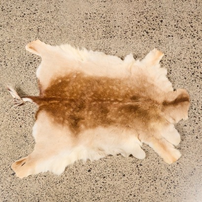 A Deer Skin