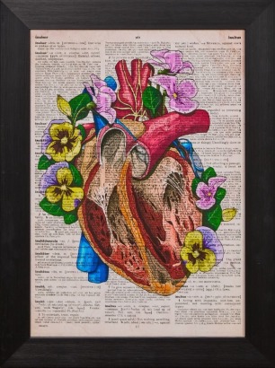 A Framed Anatomical Heart & Flowers Print