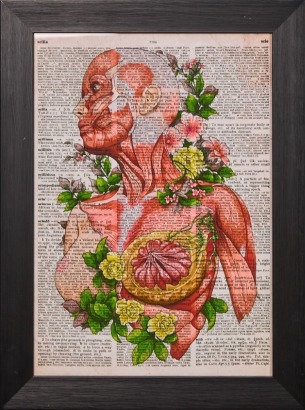 A Framed Anatomical Flowers Print