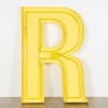A Large Neon Capital R