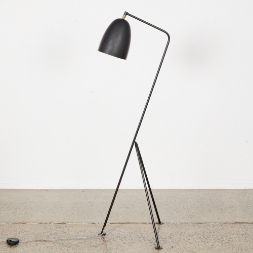 A Grasshopper Style Floor lamp