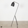 A Grasshopper Style Floor lamp