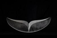 GALIA AMSEL Whale Tail