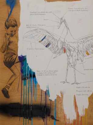 HANNAH JENSEN untitled