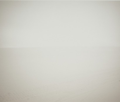 ANNE NOBLE William's Field I