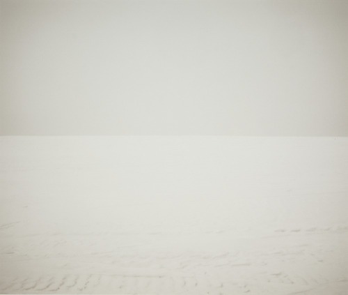 ANNE NOBLE William's Field II