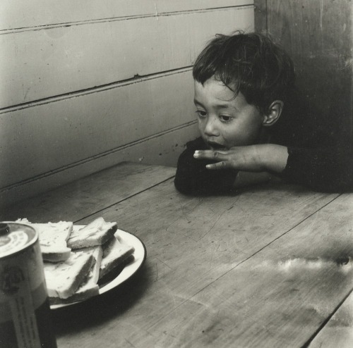 ANS WESTRA Ruatoria (Jimmy with Bread)
