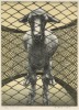 SU XINPING Netted Sheep