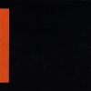 LEON VAN DEN EJIKEL The Mind is a Reflective Orange 1