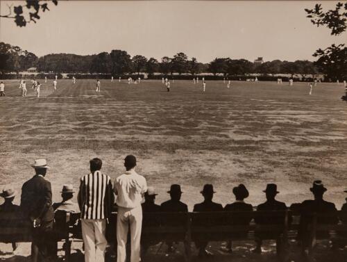 V.C. BROWNE Cricket Oval, Hagley Park, Christchurch