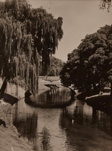 V.C. BROWNE The Avon River, Hagley Park, Christchurch