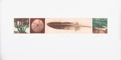 CYNTHIA TAYLOR Gull Feather