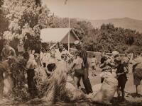 V.C. BROWNE YMCA Camp, Filling Mattresses