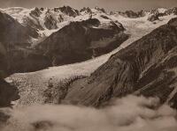 V.C. BROWNE Fox Glacier