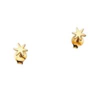 Gold Plated Silver Star Earrings