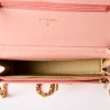 Chanel, Dusty Rose Lambskin Leather Wallet on Chain - 4