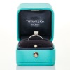 Tiffany & Co, Platinum, .64ct Diamond / .20ct Diamond Ring, Tiffany & Co, Botswana Sort - 3